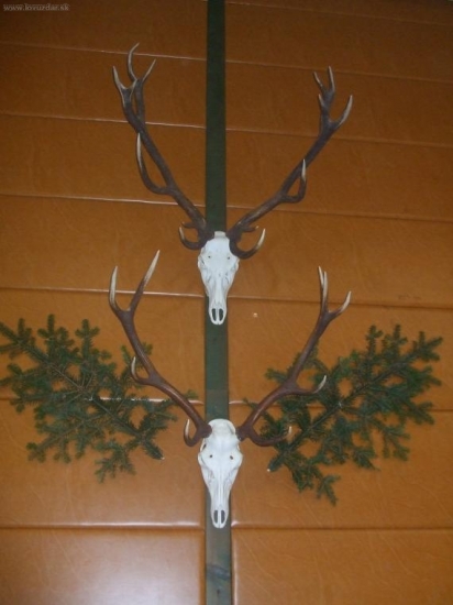 vizdoba na polovnicky ples