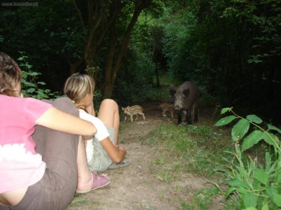 Maja a ja a mama a jej diviačiky