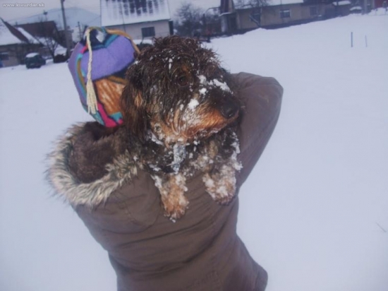 Ked bol velky sneh musela som ju niest