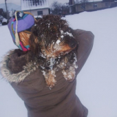 Ked bol velky sneh musela som ju niest