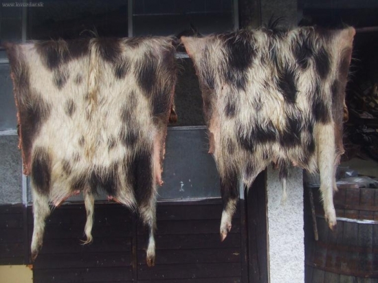 Peknéé diviačie kože