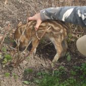 Ale sa mu dobre ryje v tych kvetoch