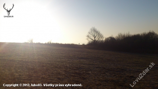 V ranných lúčoch