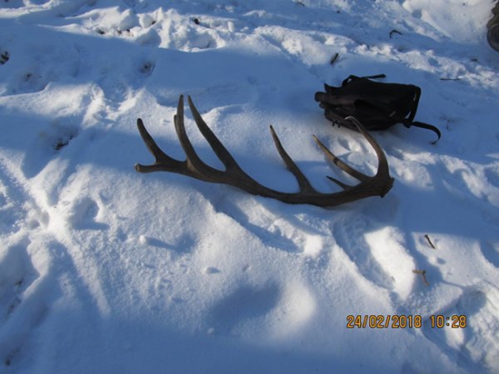 1 foto kamoše 3 zhoz 2018