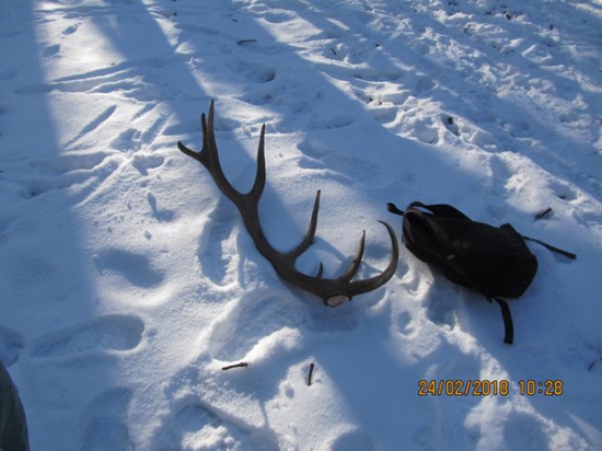 2 foto kamoše 3 zhoz 2018