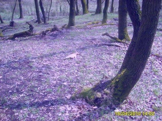 1 danči duben2010 1 pohled