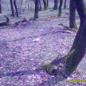 1 danči duben2010 1 pohled