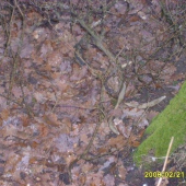 jeleni zhoz 10terak starši trošku zamaskovani zapomenuty