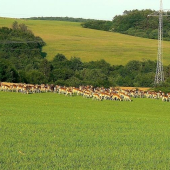 ..aké budú asi tento rok škody??
