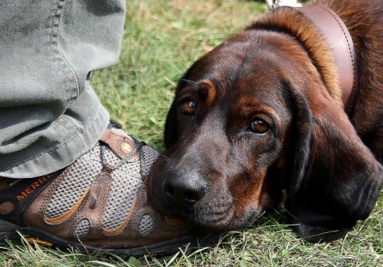Najlepší podhlavok z pánových topánok..