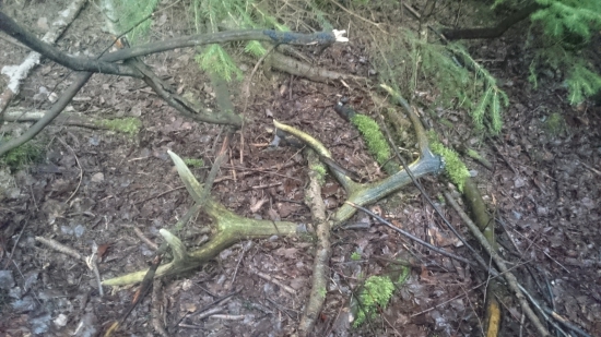 Místo kde nikdo nechodí