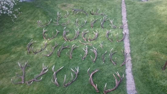 Sezona 16,17..Já a táta