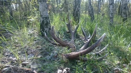 I v tomto čase jde najít krásné Zhody.