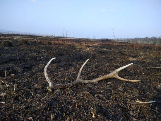 Ještě že neshořel