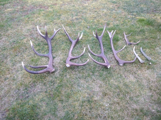 Víkendové štěstí