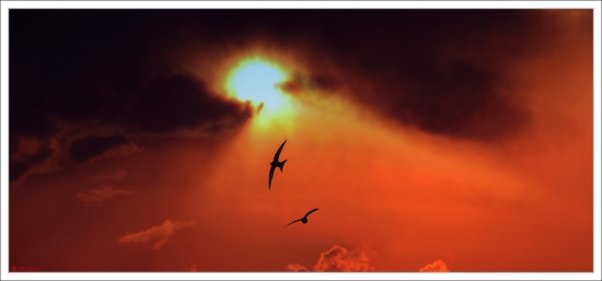 Prelet dažďovníkov