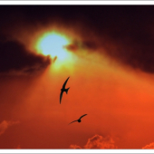 Prelet dažďovníkov