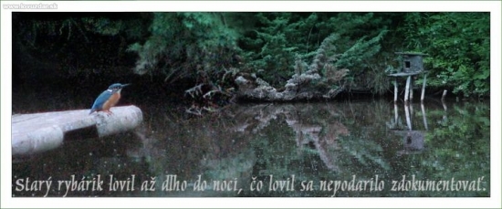 Lovil až do noci...