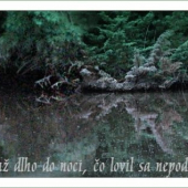 Lovil až do noci...