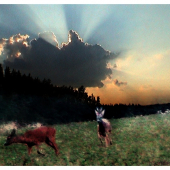 Zaháňanie srnčeka