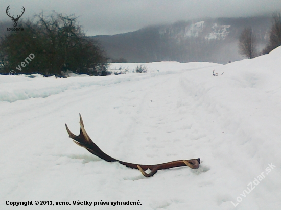 Prvý tohtoročný 1/2013