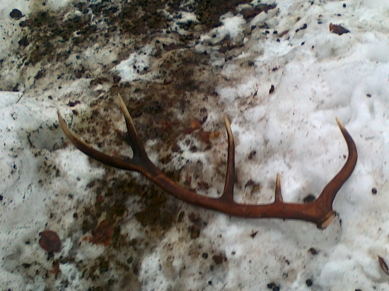 Druhý tohtoročný 2/2013