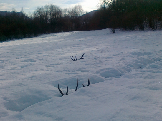 Takto na mňa čakali