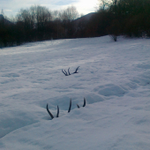 Takto na mňa čakali