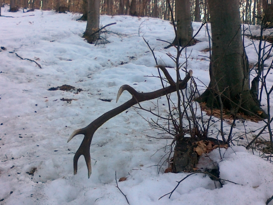 Dnes ma čakal ďalší - 5/2013