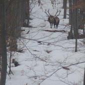 Dvaja z jedného cesta