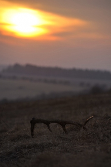 posledné jarné lúče