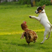 Čo sa v mladosti naučíš 1 ....