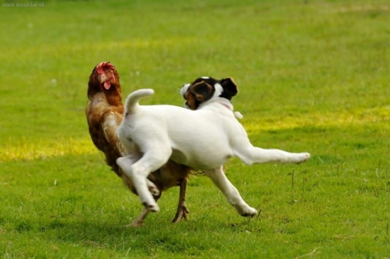 Čo sa v mladosti naučíš 2 ....