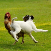 Čo sa v mladosti naučíš 2 ....