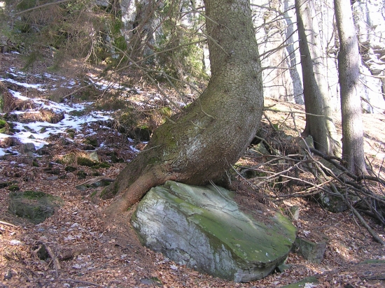 sedím na skale a je mi dobre