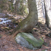 sedím na skale a je mi dobre
