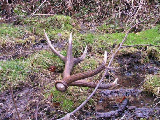 ešte raz,potešil ma...