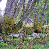 ...aj kamenný plot už zarástol...