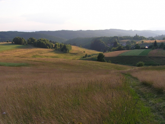 sobota podvečer na Bratkovici