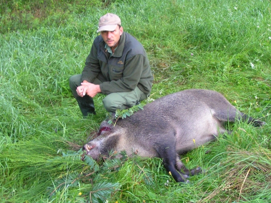 miesto srnca prišiel kanec