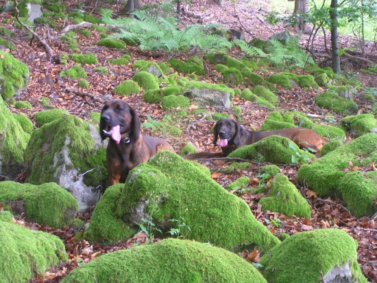 ...strašná horúčava...