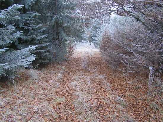 a teraz prejdi nehlučne...