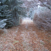 a teraz prejdi nehlučne...