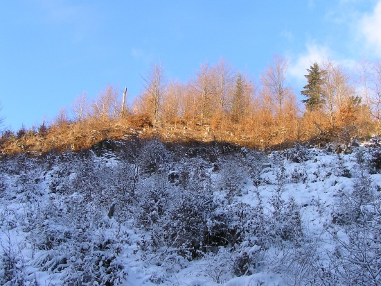 ...na hrebeni slnko v doline mráz...