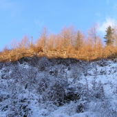 ...na hrebeni slnko v doline mráz...