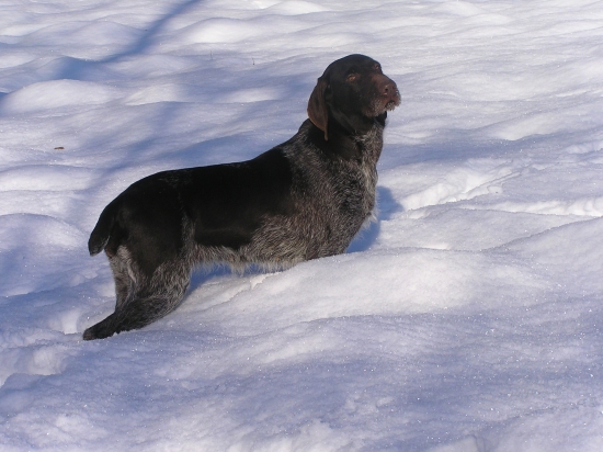 včera sme boli prikrmovať