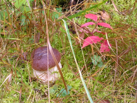 ...dnešný feši...