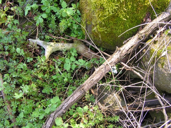 ...a jeden zabudnutý...