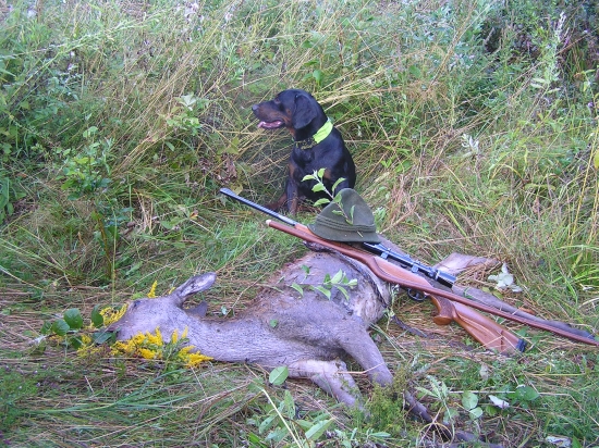 ...jelienča z Blata...