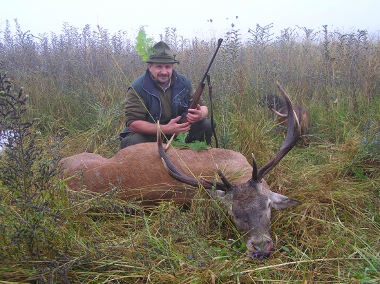 ....Štefanov kukuričný...